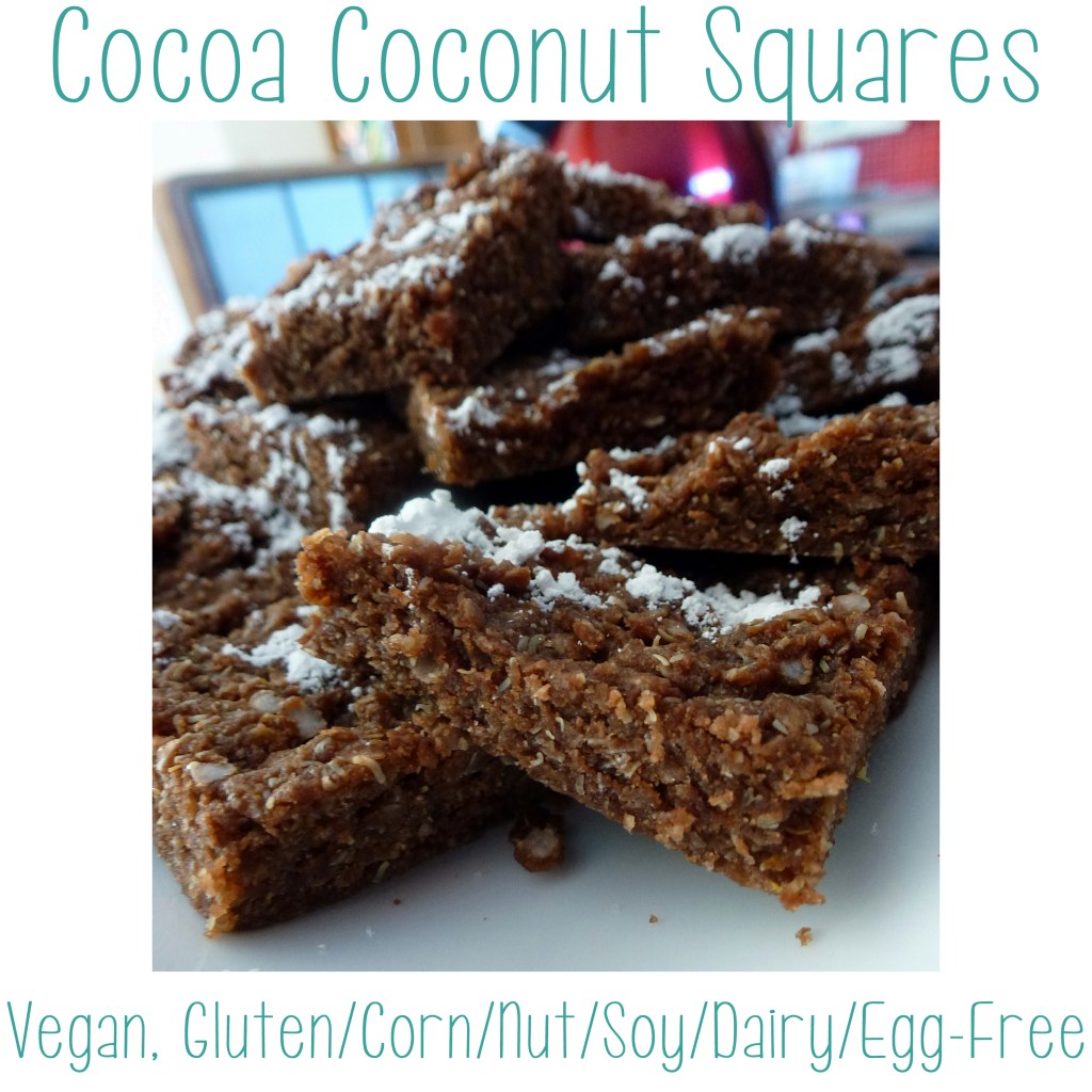 Cocoa Coconut Squares