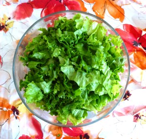 lettuce