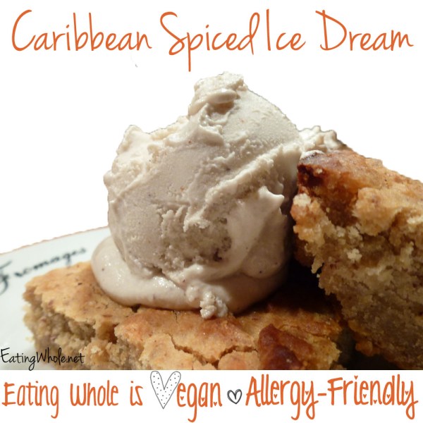 Caribbean Spiced Ice Dream
