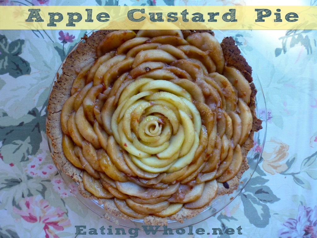 Apple Custard Pie