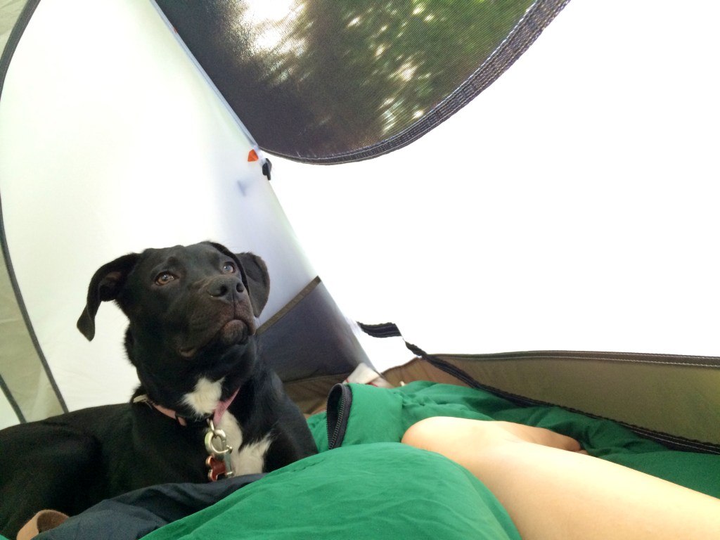 Photo Aug 31, 8 10 15 AM