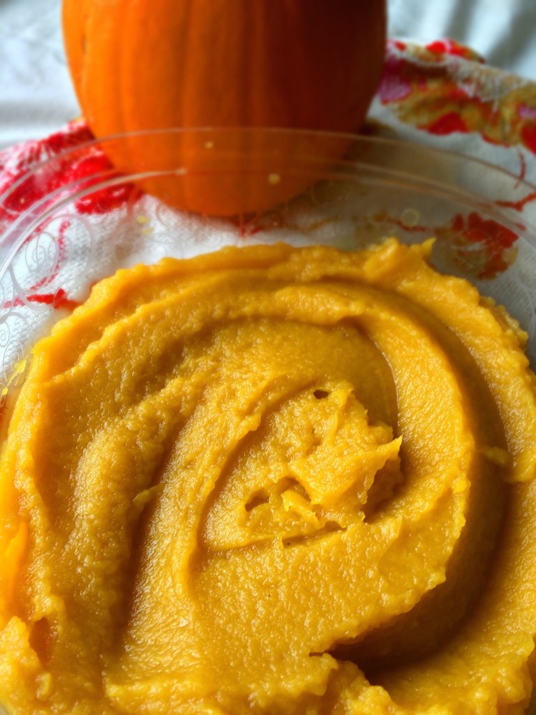 Fresh pumpkin puree