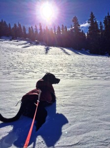 Photo Feb 07, 11 25 08 AM