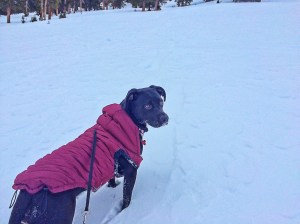 Photo Feb 08, 10 51 47 AM