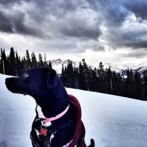 Photo Feb 08, 11 28 18 AM